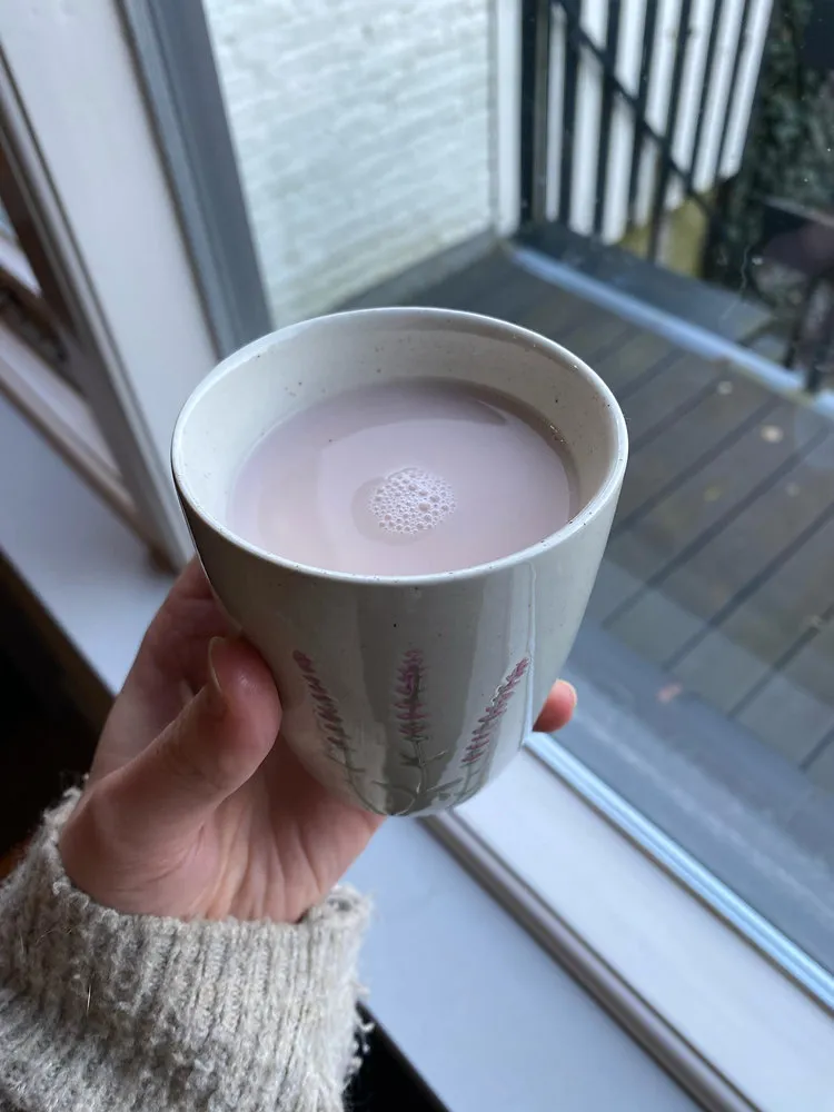 Verwarmende Winterse Chai