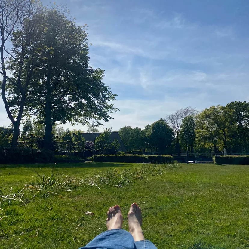 Yoga Nidrā - Gedragen door de Aarde