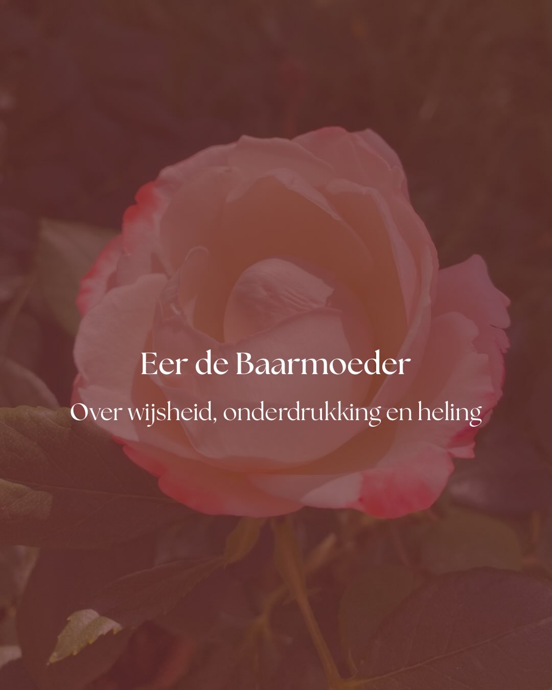 Roos met de tekst 'Eer de Baarmoeder - over wijsheid, onderdrukking en heling'